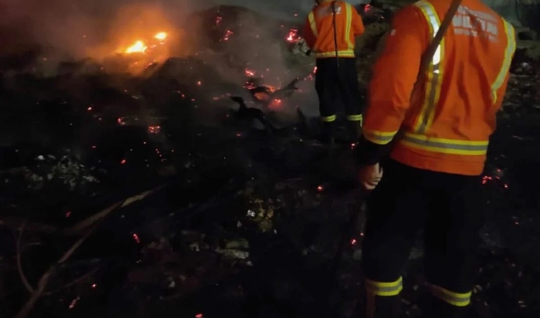 BOMBEIROS REPRODUÇÃO